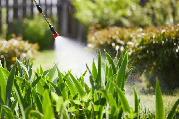 24/7 Emergency Mosquito Control experts in Biltmore Forest, NC