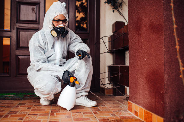 Reliable Mosquito Control contractor in Biltmore Forest, NC by Show Me Pest Control
